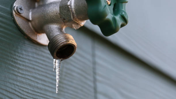 Best Sprinkler Systems  in Manawa, WI